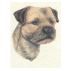 Border-Terrier-Note-Card
