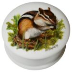 Chipmunk painted onto a ceramic jar