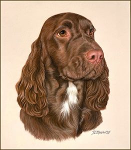 Pastel dog portrait by Diane Blasius
