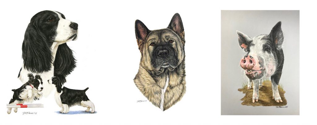 Pastel pencil portraits of your pet